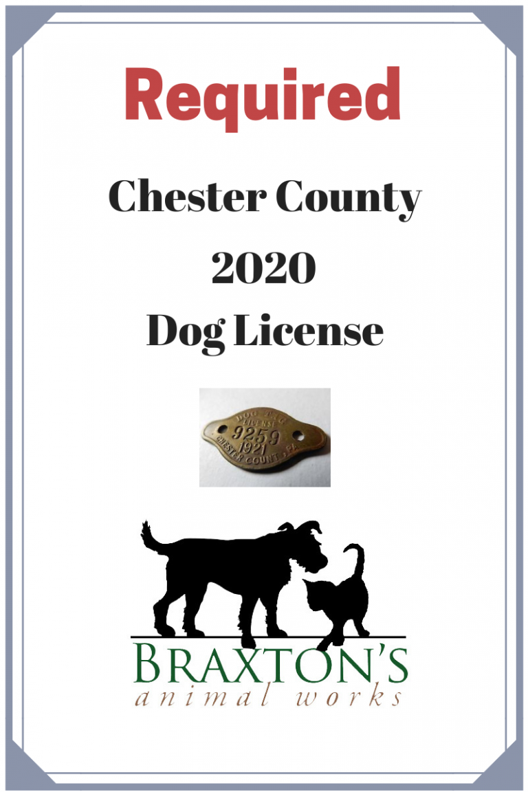 2020 Chester County Dog License Available at Braxton's • Braxtons Animal Works