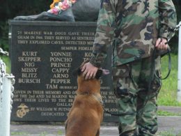 Honoring military dogs