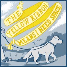 Yellow Dog Project