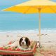 Does your pet need sunscreen