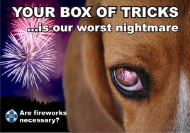 pets and fireworks