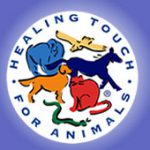 healing touch for animals