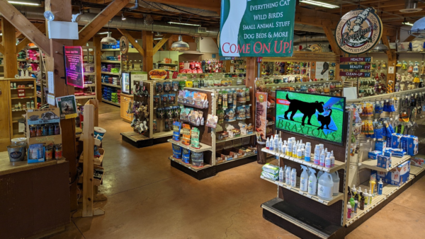 How Small Business Saturday Affects Independent Pet Stores • Braxtons Animal  Works
