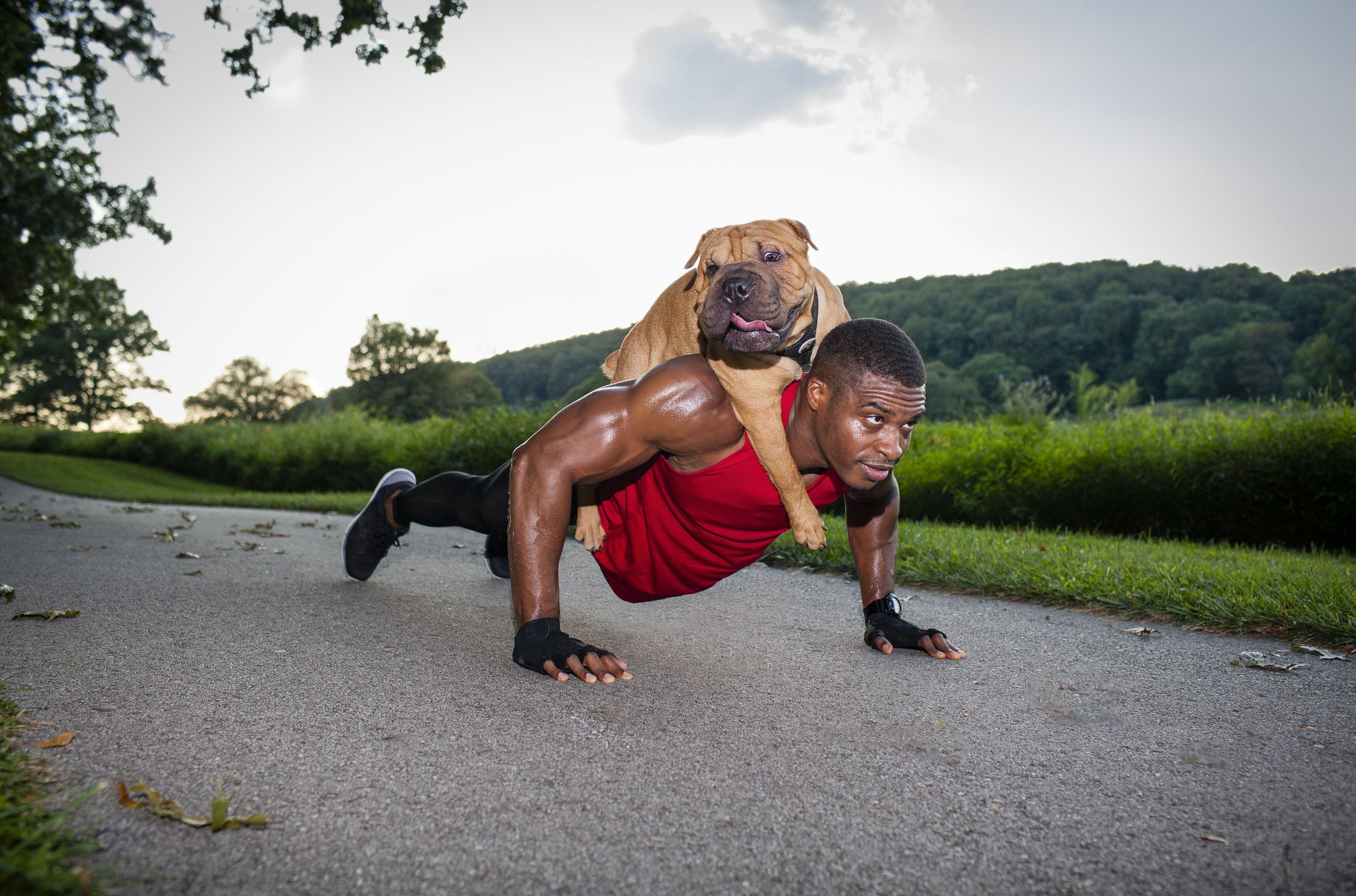 Exercise for Your Pet: A Comprehensive Guide • Braxtons Animal Works